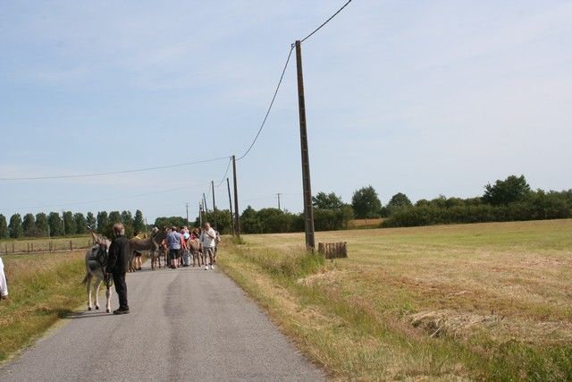 2015-07-06 rando anes (16).JPG